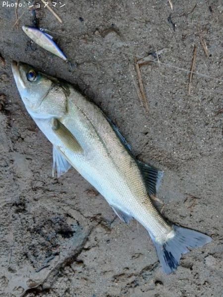 �����Х�