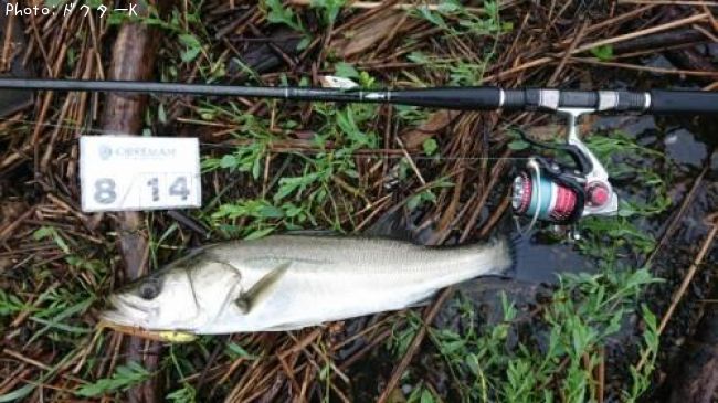 �����Х�