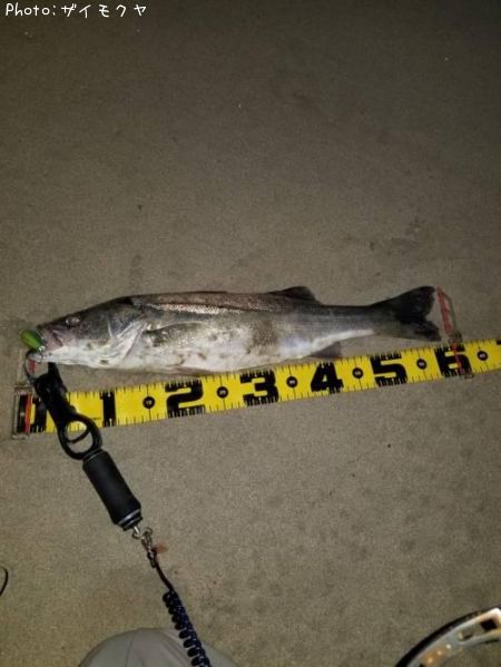 �����Х�