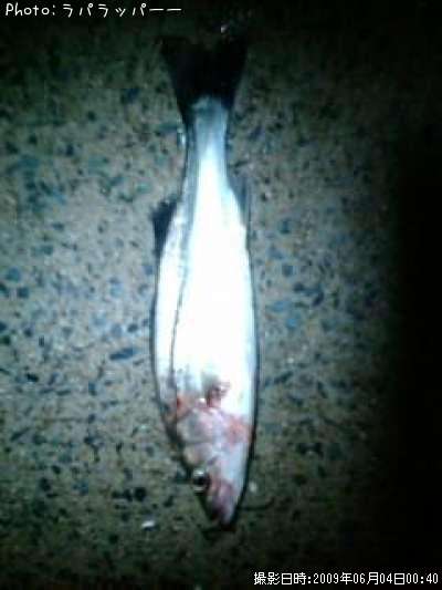 �����Х�