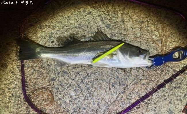 �����Х�