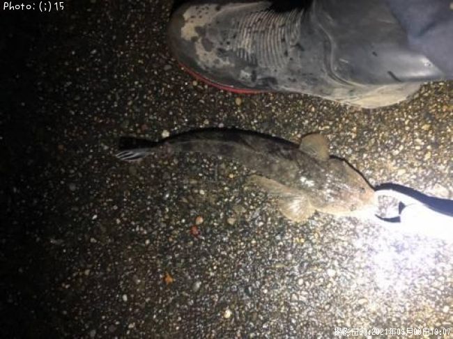 ���ޥ���