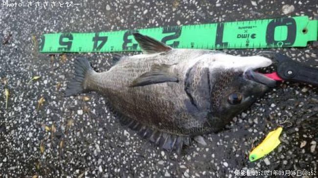 ��������