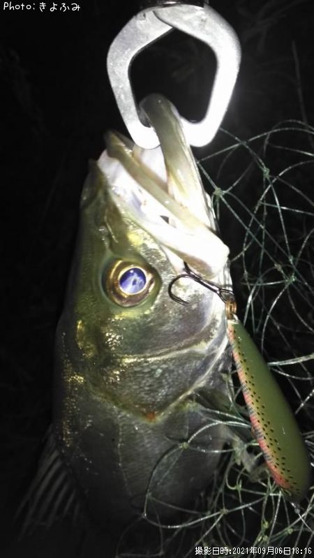 �����Х�