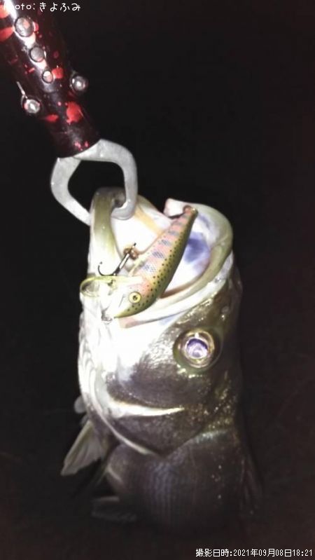 �����Х�