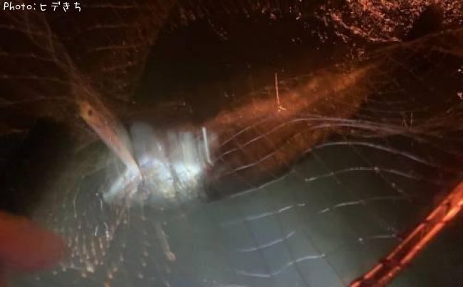 �����Х�