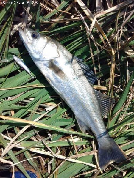 �����Х�