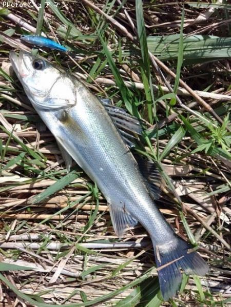 �����Х�