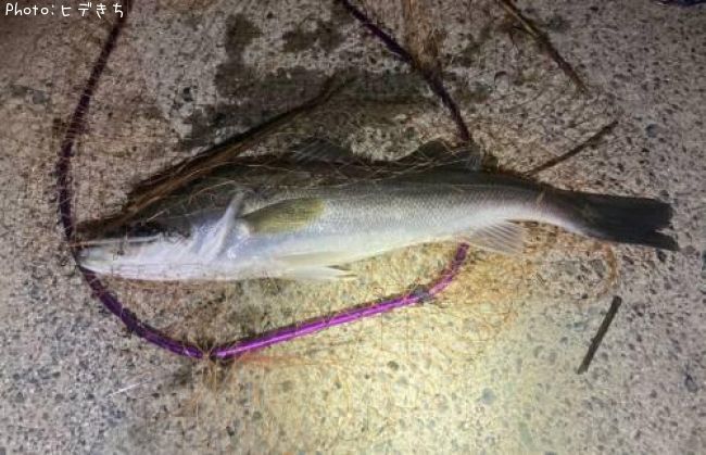 �����Х�