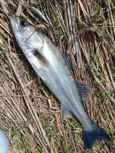 �����Х�