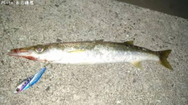 �������ޥ�