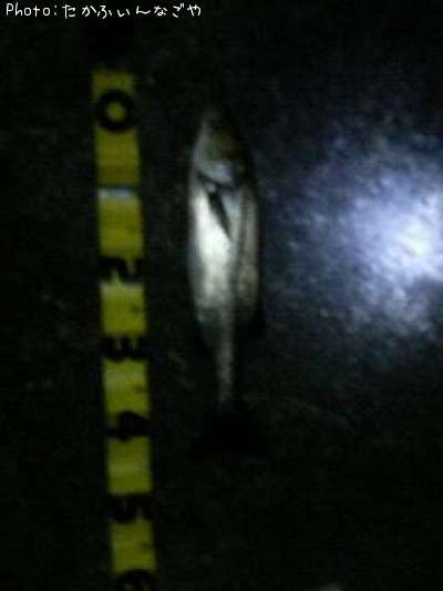 �����Х�