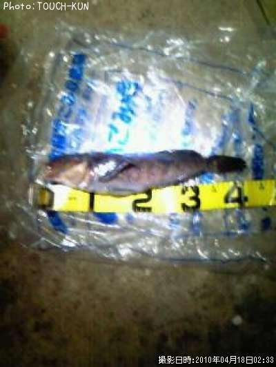 �����ʥ�