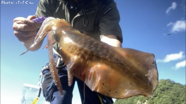 �����ꥤ��