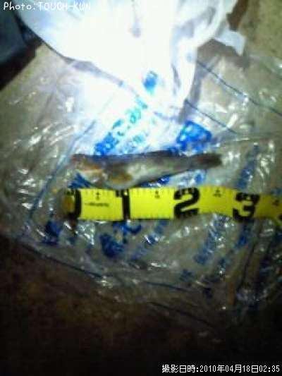 �����ʥ�