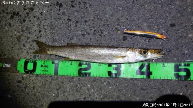 ���ޥ���