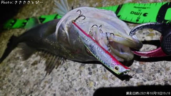 �����Х�