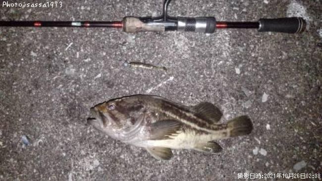 ���ޥ���