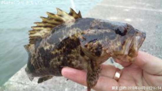 �����Υ���Х�