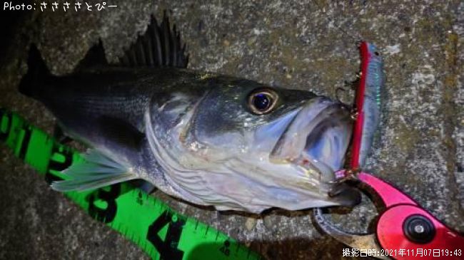 �����Х�