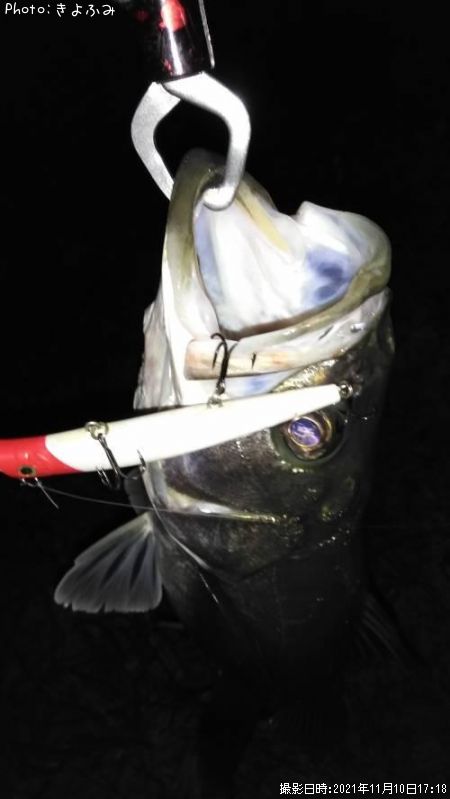 �����Х�