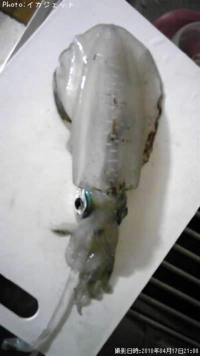 �����ꥤ��