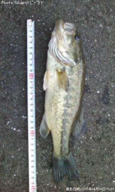 �֥�å��Х�