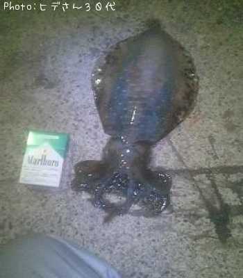 �ߥ�����