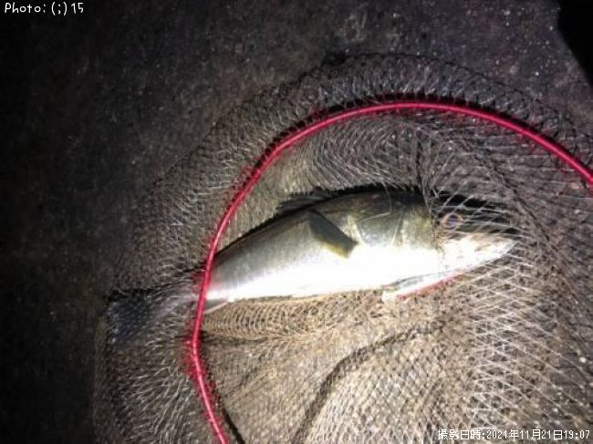 �����Х�