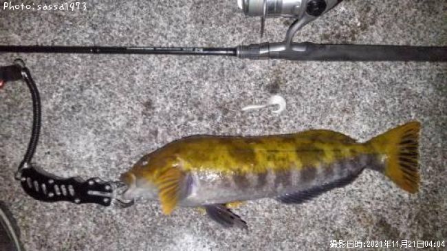 �����ʥ�