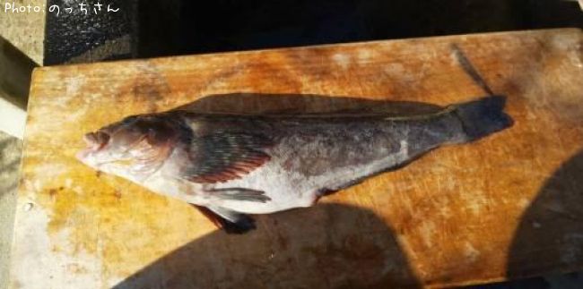 �����ʥ�