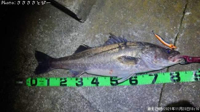 ��󥫡������Х�