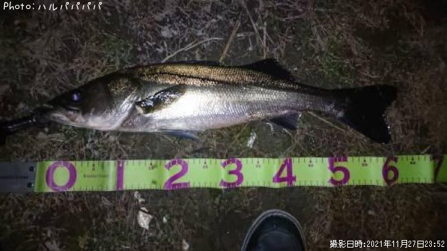 �����Х�