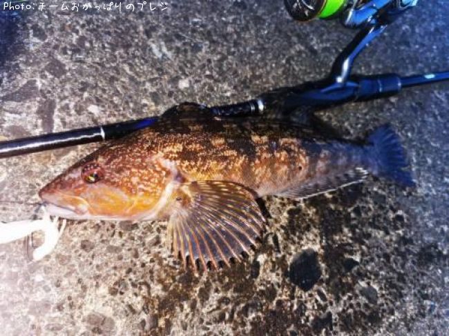 �����ʥ�