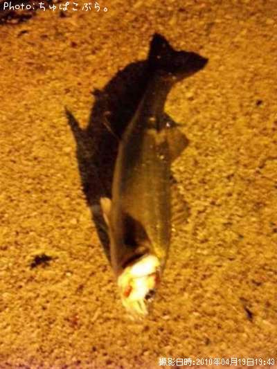 �����Х�