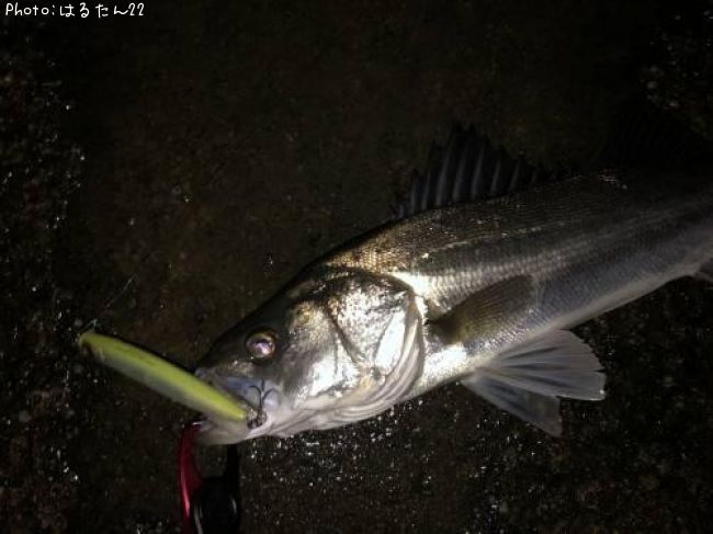 �����Х�