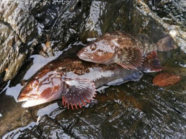 �����ʥ�