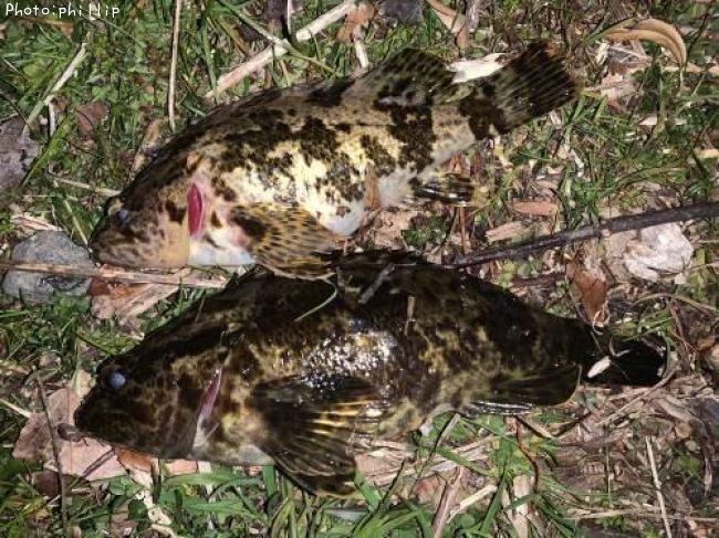 �����Υ���Х�