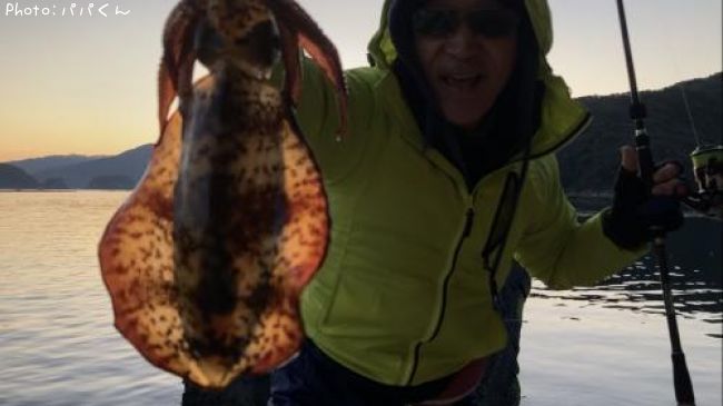 �����ꥤ��