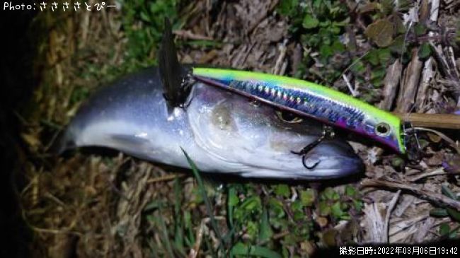 �����Х�