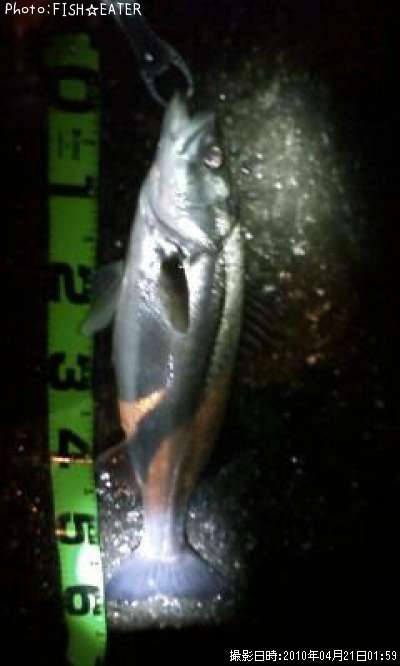 �ޥ륹����