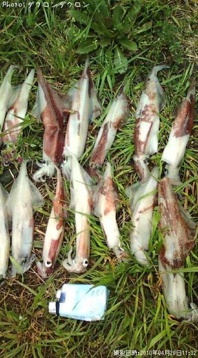 �����ꡢ��ꡢ���󥵥���Φ