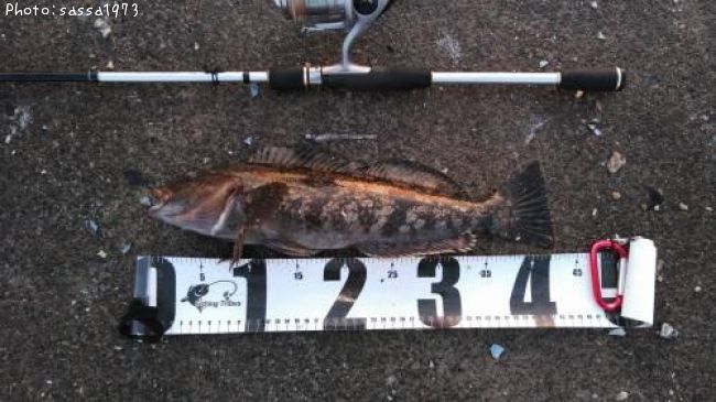 �����ʥ�