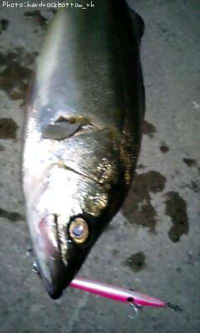 �����Х�