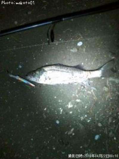 �����Х�