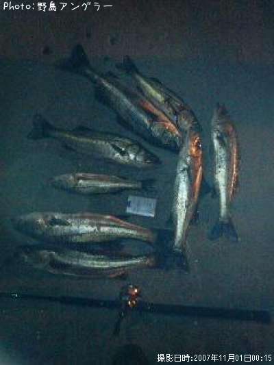 �����Х�