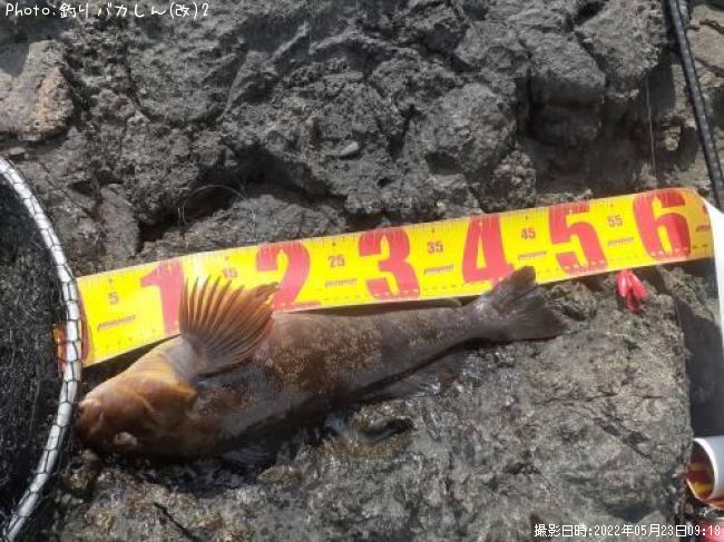 �����ʥ�