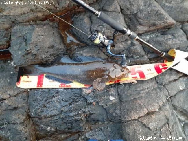 �����ʥ�