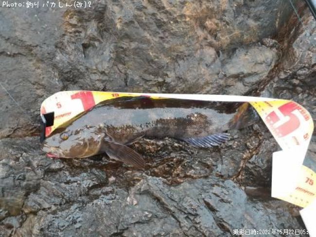 �����ʥ�