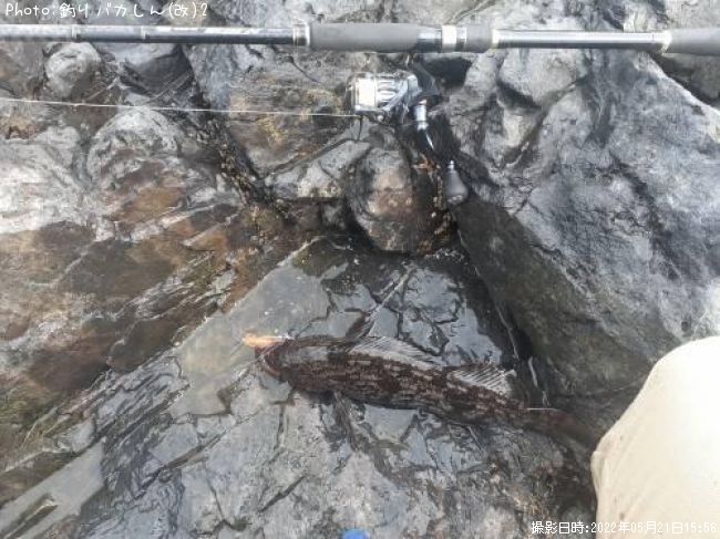 �����ʥ�